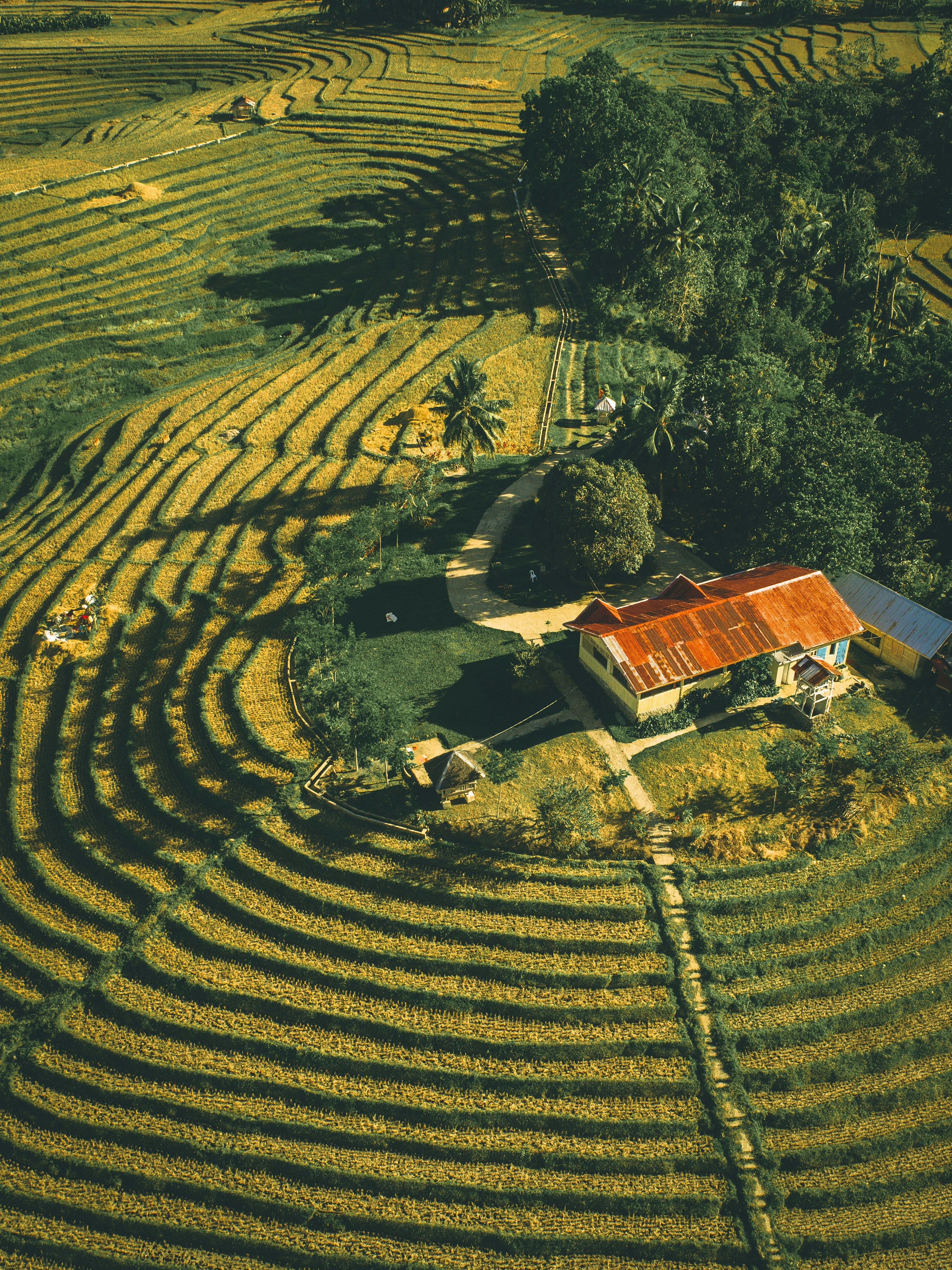 Mô tả hình ảnh