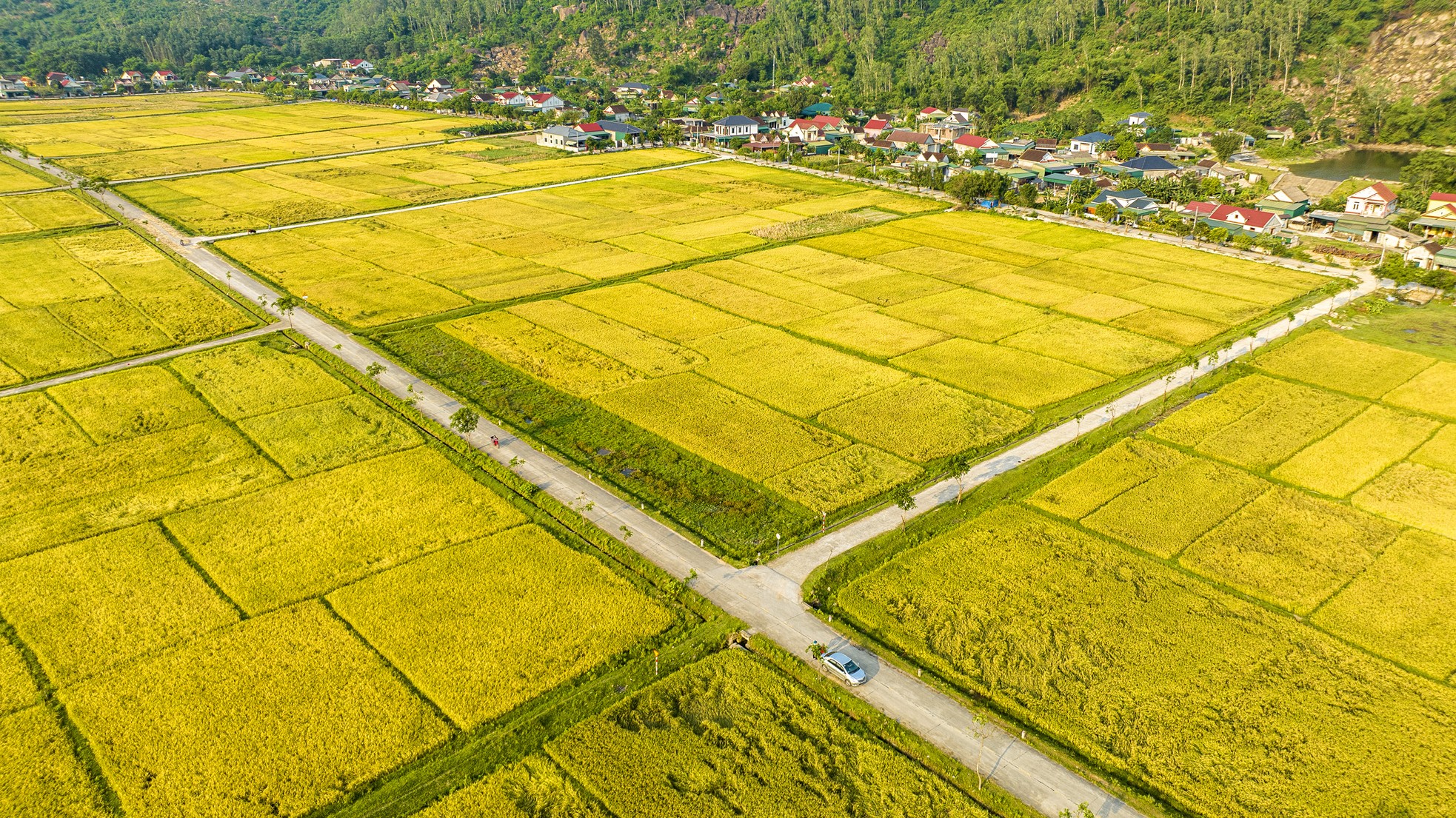 Mô tả hình ảnh